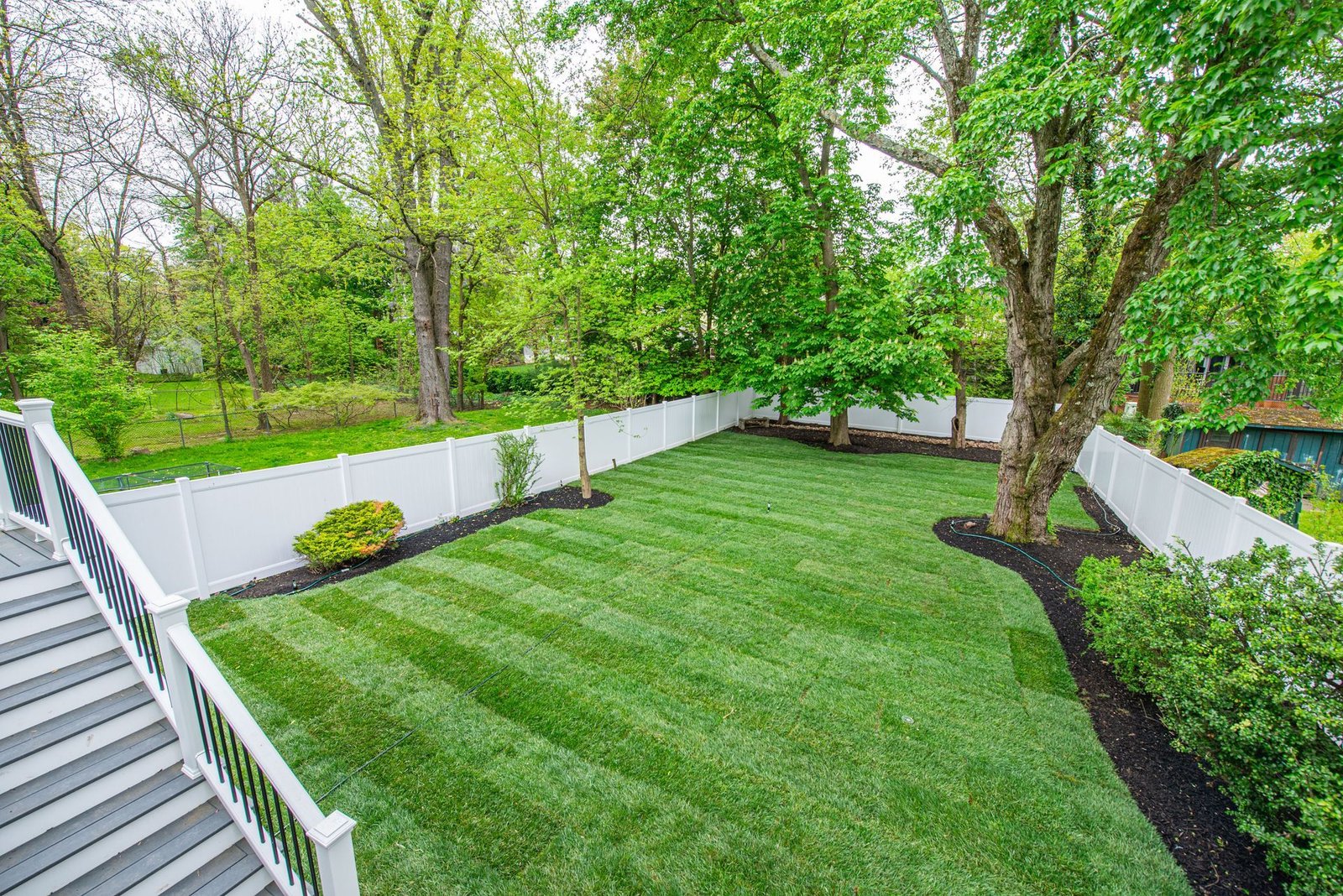 lawn